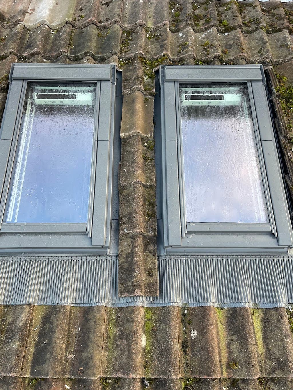 Roof Window Specialists Ltd.