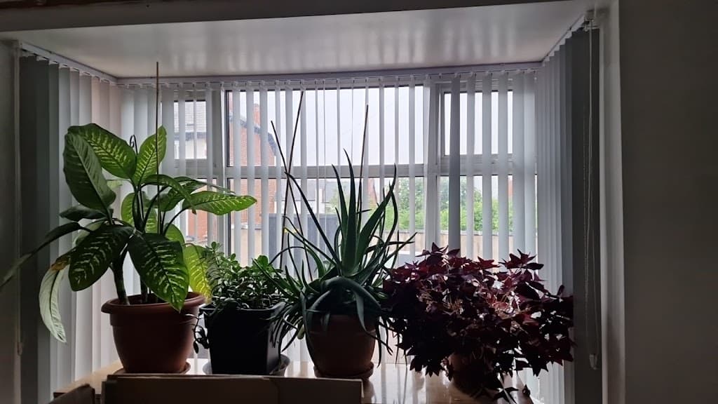 Birmingham Blinds