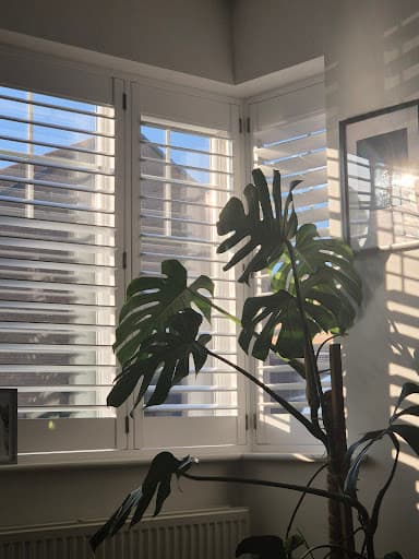 Signature Window Shutters — Customer photo