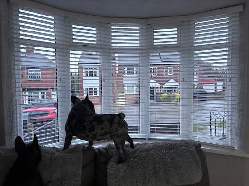 Blinds Expert — Customer photo