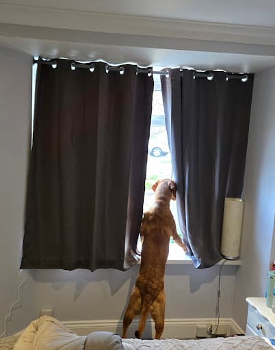 Castle Blinds & Shutters — Customer photo