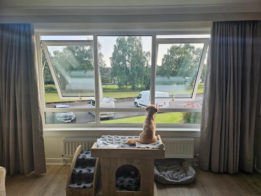 RePlace Windows Limited — Customer photo