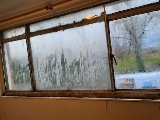 Bergmann Windows — Customer photo