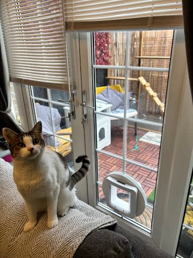 Dave Kendall Ltd Glass and Glazing — Customer photo