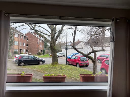 Revive Windows — Customer photo