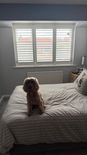 Luna Blinds Nottingham — Customer photo