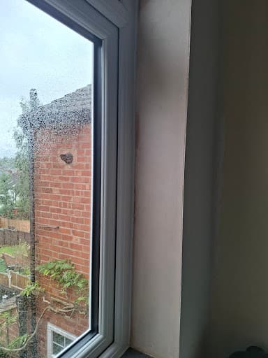 Windows Plus — Customer photo