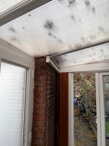 Window Pains Mk — Customer photo