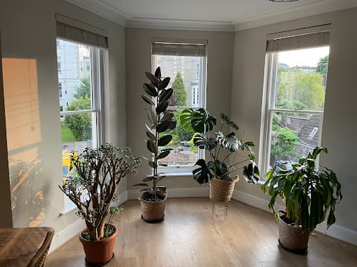 JOYSOL Sash Windows Specialists Bristol — Customer photo