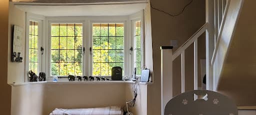 Woodcraft Windows Oxford — Customer photo