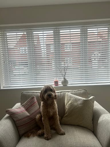Elite Blinds — Customer photo