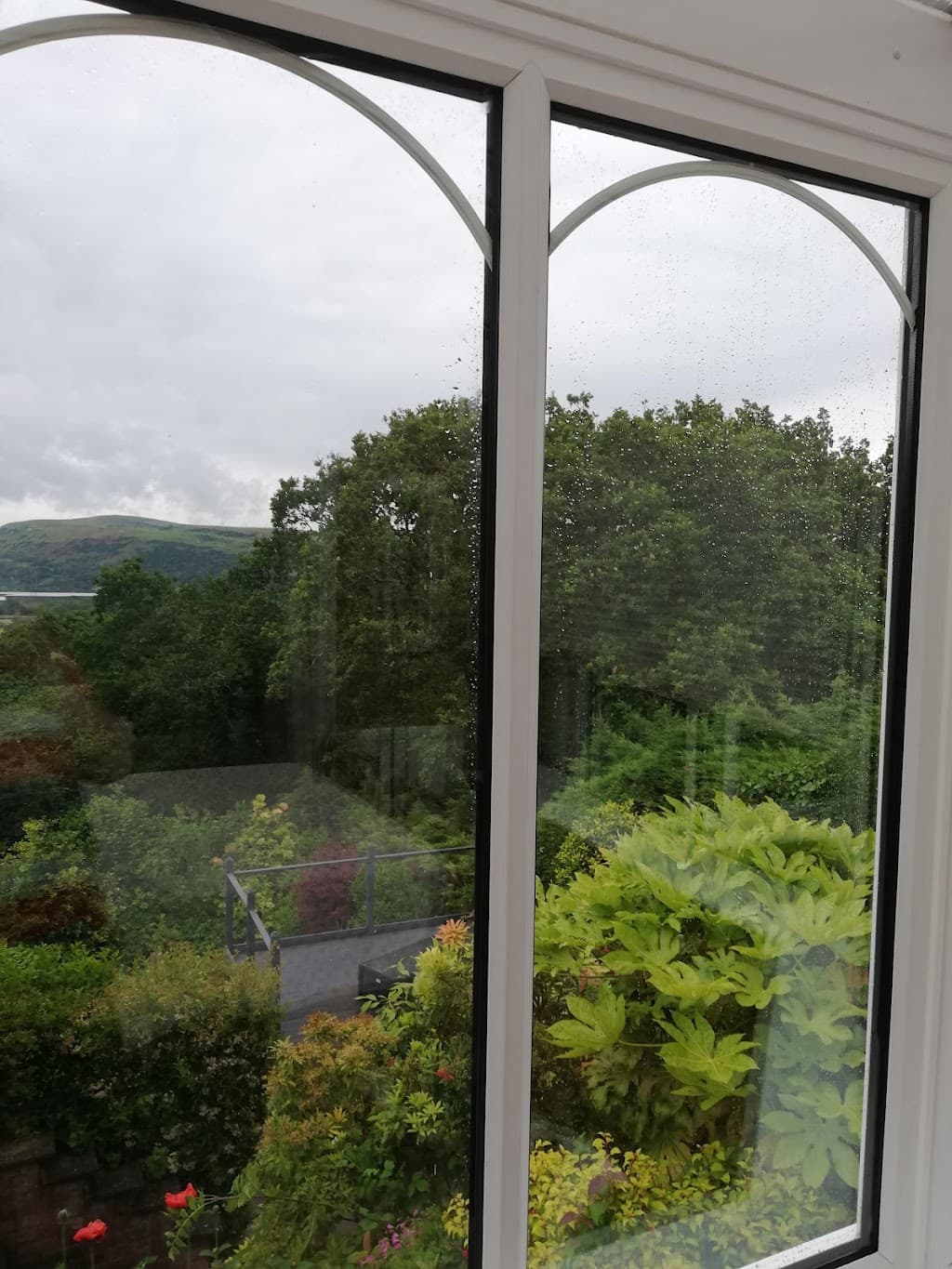 Simply Misted Windows