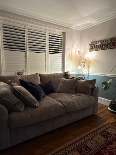 South Coast Plantation Shutters (SCP Shutters) — Customer photo