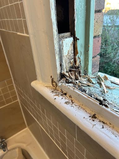 Sash Window Preservation — Customer photo