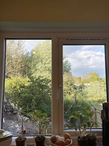 Orion Windows — Customer photo